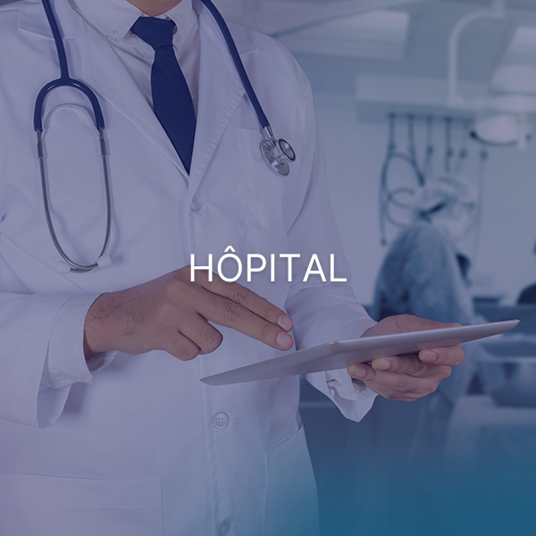 Afficheur de niveau sonore 