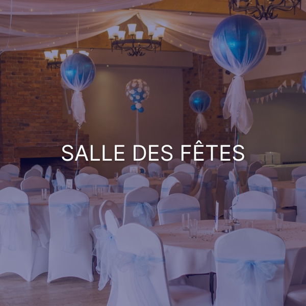 Limiteur de niveau sonore 