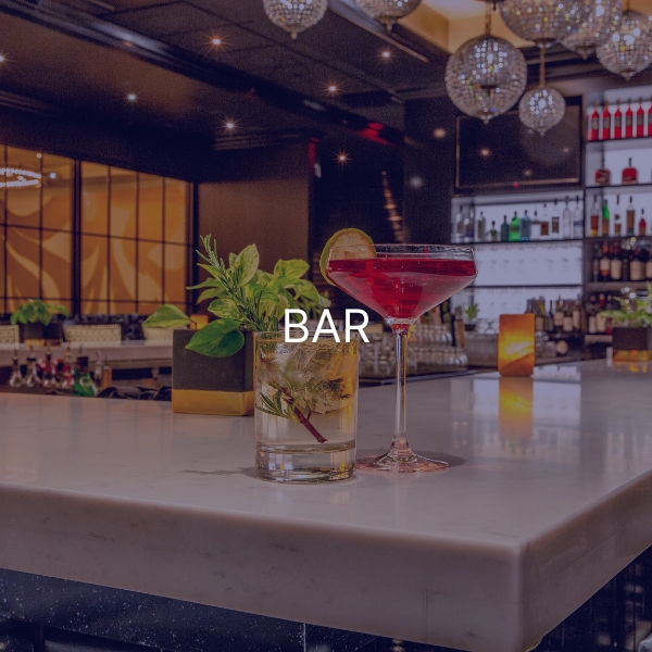 Limiteur de niveau sonore 